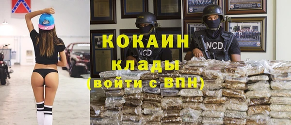 ПСИЛОЦИБИНОВЫЕ ГРИБЫ Балабаново